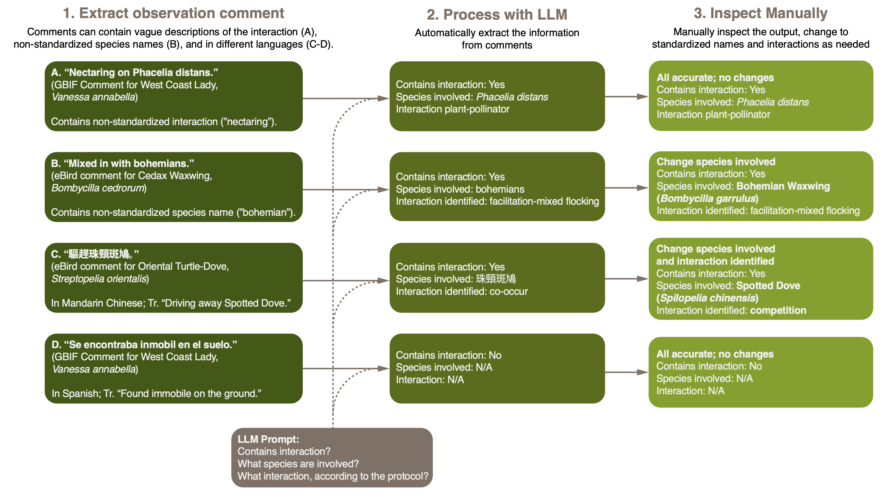 project_llmperspective